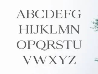 文艺范的衬线字体下载