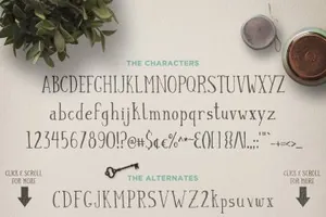 优雅古怪的手工细线字体 Canterbury   Bonus Mockups