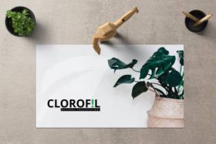 绿色创意风格ppt模板下载