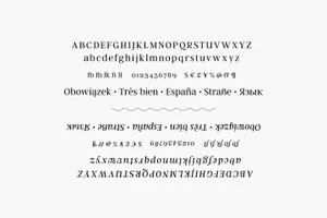 衬线字体 Argent CF expressive serif font