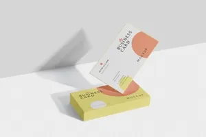 时尚高端专业的房地产名片设计VI样机展示模型