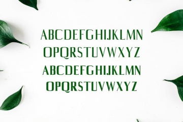 平面设计排版英文衬线字体套装 Axell Serif Font Family