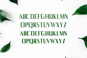 平面设计排版英文衬线字体套装 Axell Serif Font Family
