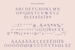 优雅独特的经典英文衬线字体 Kangri: Unique Elegant Stencil Serif