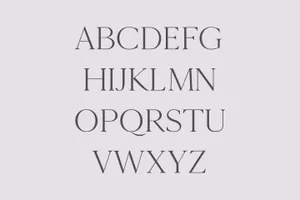 排版印刷网页设计适用的英文衬线字体家族 Cammron Serif Font