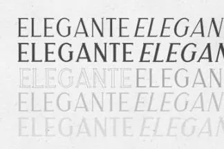 经典优雅外观衬线英文字体下载 Merova – Classic Serif