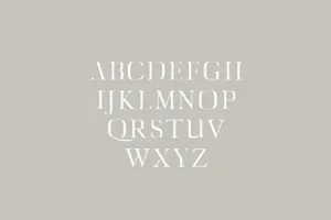 衬线字体系列字体家族 Diedra Serif Font Family