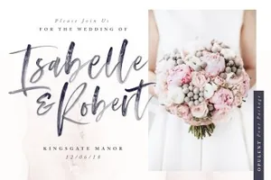 手绘现代书法英文字体 Opulent Font   SVG