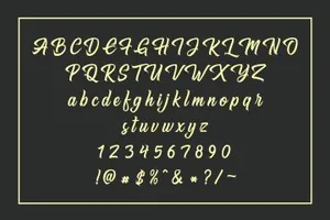 一套优雅的名片婚礼请柬英文手写字体 Hugtophia