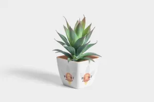 PSD逼真花盆植物样机模型