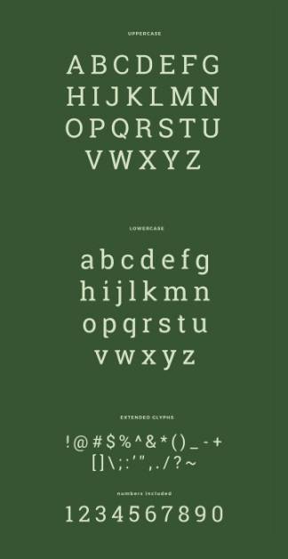 带有独特圆角英文衬线字体 Robika Serif Typeface
