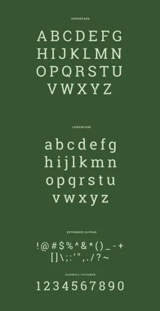 带有独特圆角英文衬线字体 Robika Serif Typeface