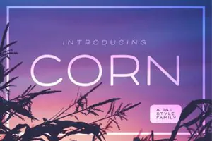 一款圆润纤细英文字体Corn Free Demo Typeface 精选字体