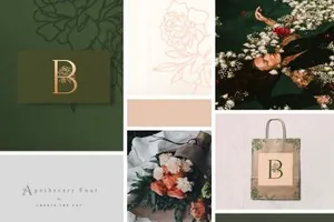 植物巧妙结合的英文字体 Apothecary Display Font