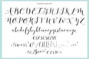 时尚达人黑字体 Fashionista Black