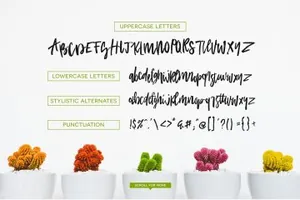 疯狂手绘字体 Academy House   Logos