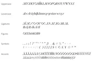 希腊时尚优雅的女性婚礼高端衬线英文字体 SaintMonica - Elegant Ligatures Font