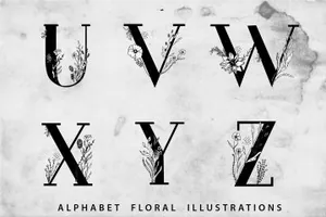 手绘和数字化花卉元素英文字体 Blossom Font + EXTRAS