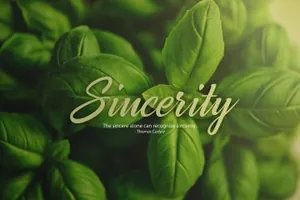 美丽优雅的手写英文字体 Broda Script