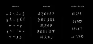 会“跳舞”的英文浪漫书法字体 Holland Script Handwriting Font