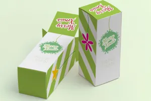 高礼盒设计样机 Tall Gift Box Mockup 02