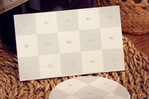 商业卡片样机 Business card , Button pin Mockup