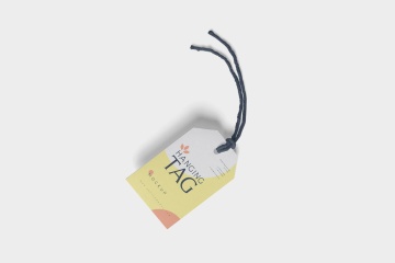 高品质的服装挂签吊牌包装设计VI样机展示模型