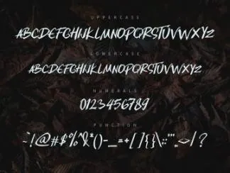 一款优雅时尚的手绘英文字体 Heart Quarter - Brush Font