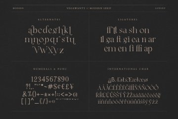 优雅独特时尚的海报杂志婚礼设计排版英文衬线字体 Vegawanty Modern Serif