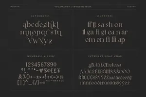 优雅独特时尚的海报杂志婚礼设计排版英文衬线字体 Vegawanty Modern Serif