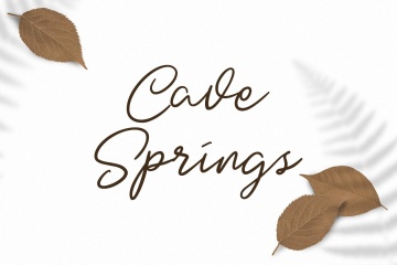 英文钢笔书法字体下载 Dotyville Script Font