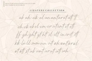 奢侈浪漫主义英文手写字体 Romantic Couple // Elegant Signature