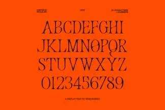 复古新潮酸性艺术创意英文装饰字体 Studio Innate - Orpheus