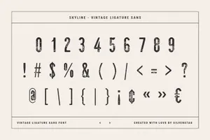 中世纪复古装饰做旧噪点艺术装饰英文字体 skyline - vintage ligature sans font