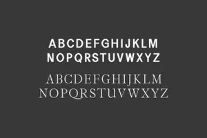 二重奏无衬线amp;amp;衬线字体合集 Perkin  Duo Font Pack