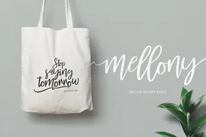 手绘笔刷字体 Mellony brush script font