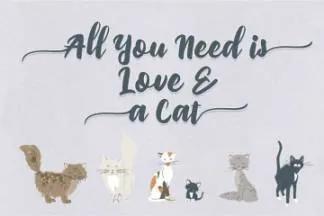 可爱毛笔手绘英文笔刷艺术字体下载 Priscillia Script