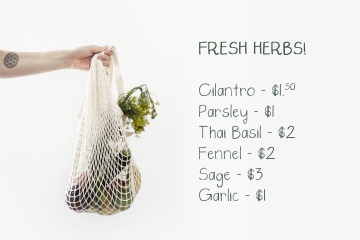 创意设计正楷书法英文无衬线字体 Saturday Market Font