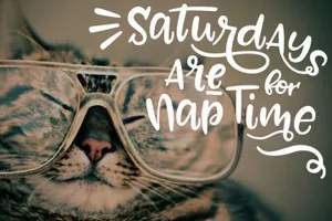 手绘花卉字体 Amora 12 Script Fonts