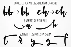 节日手写字体 Cherry Cordial display script font