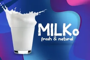 优雅复古手写粗体无衬线英文字体 Under Type Font