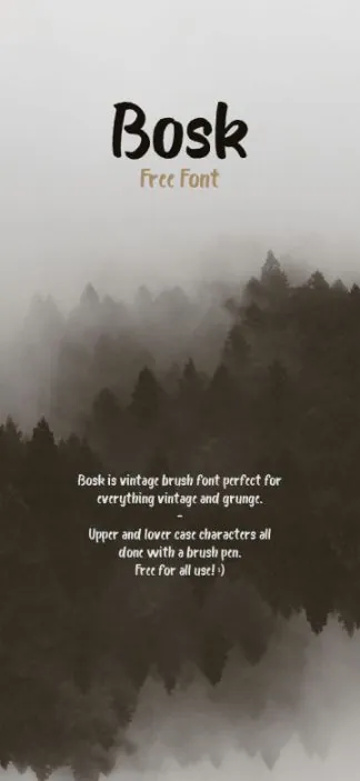 一款笔刷效果手写英文字体Bosk Free Brush Typeface 精选字