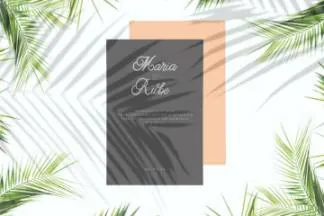 优雅笔画线条英文草书字体下载 Adelia – Elegant Script Typeface