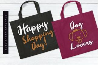 英文画笔粗笔画书法字体 Ginalys Bold Brush