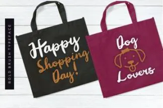 英文画笔粗笔画书法字体 Ginalys Bold Brush