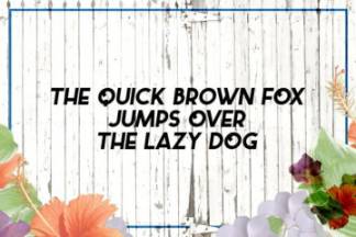 大胆＆俏皮无衬线英文字体 Facile Italic