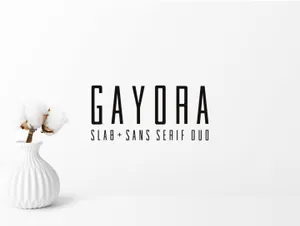 时尚的无衬线字体