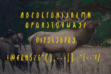 无衬线英文书法字体 Royal Elk Font