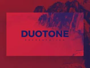 DUOTONE