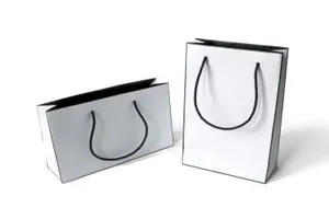 时尚纸袋礼品袋样机模板 Fashion paper bags mockups